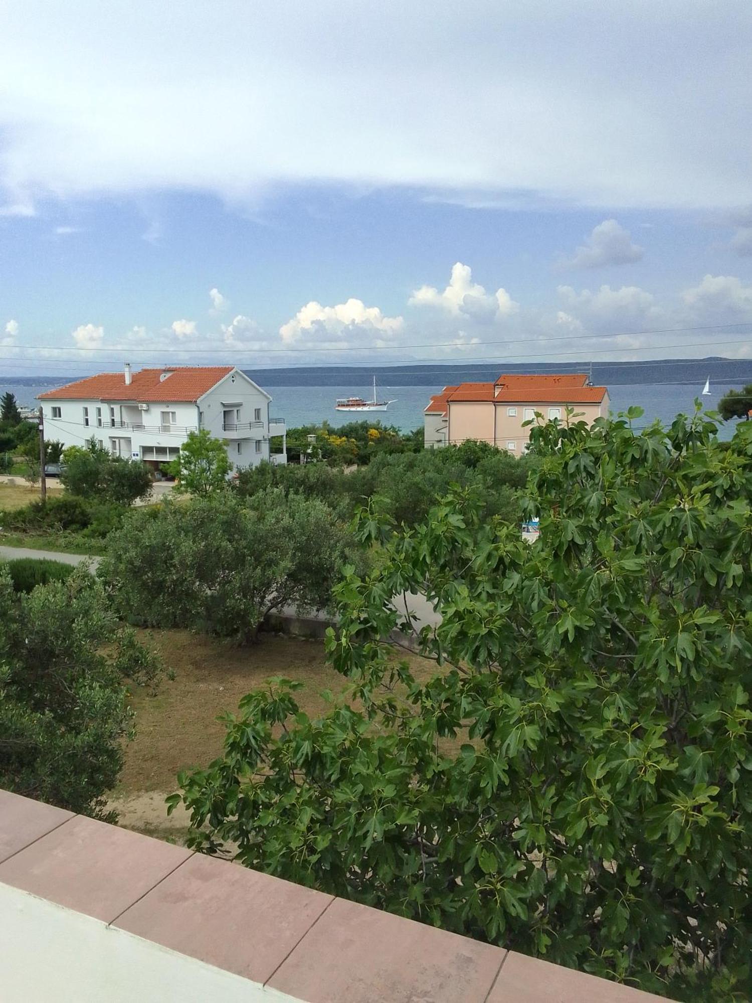 Apartman Cosy 100 M From The *